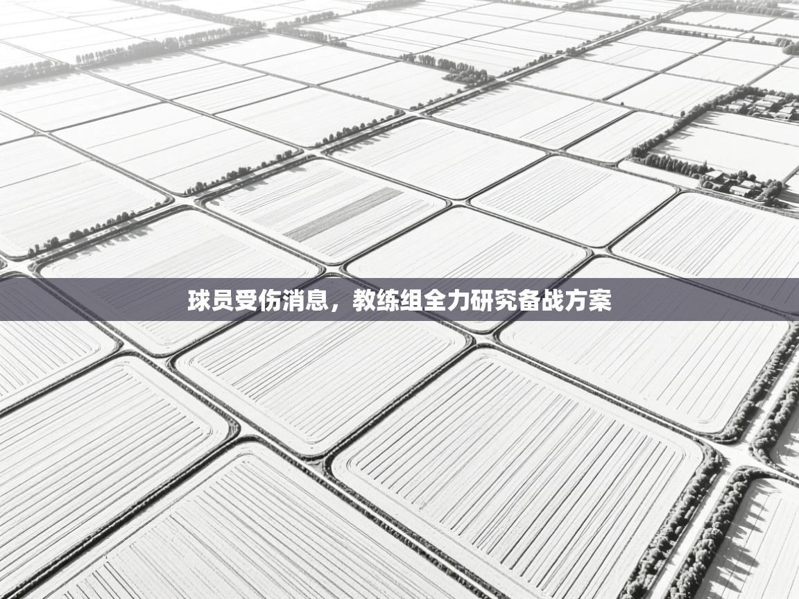 球员受伤消息,教练组全力研究备战方案 第1张