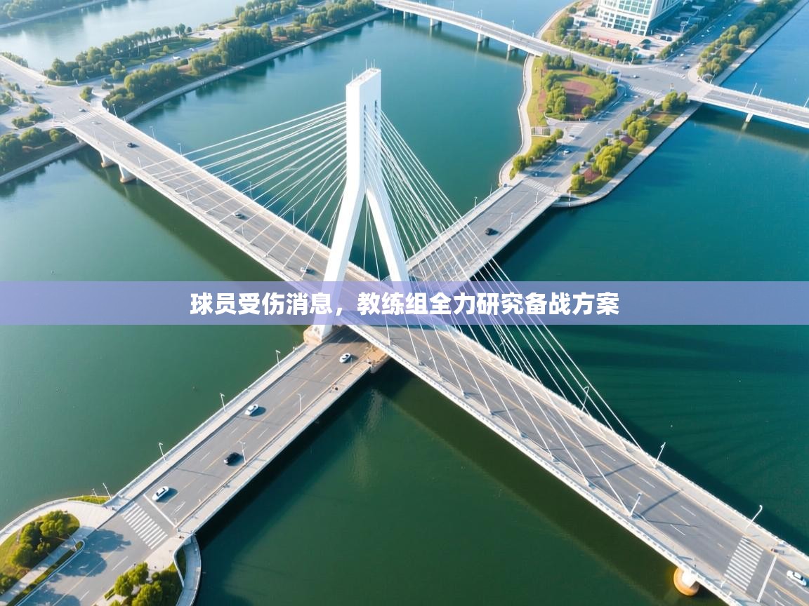 球员受伤消息,教练组全力研究备战方案 第2张